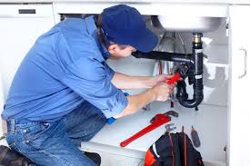 Best Commercial Plumbing Services  in Pecan Acres, TX